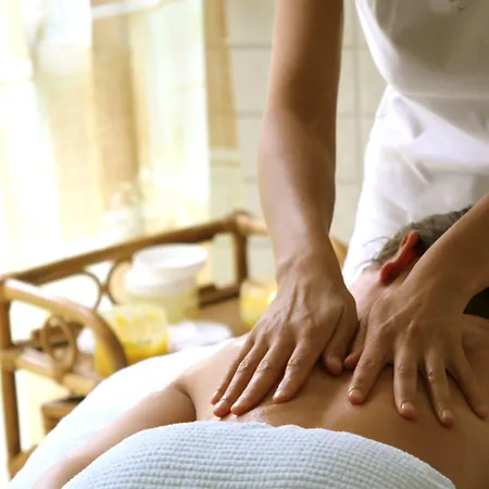 Hotel Domaine De Falgos Golf &