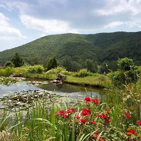 Domaine De Falgos Golf & Ξενοδοχείο Saint-Laurent-de-Cerdans